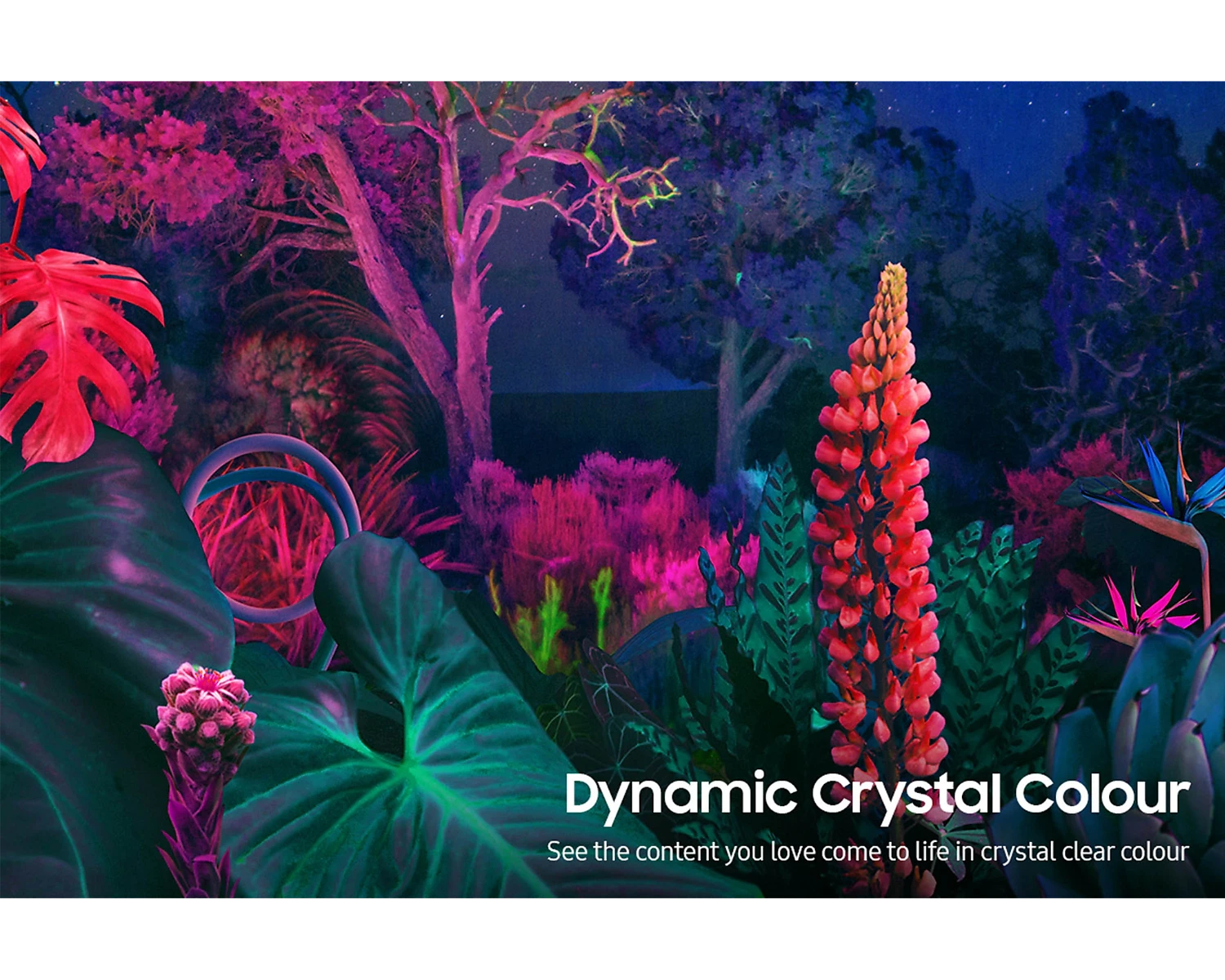 Samsung UE50CU8070UXXU, 50", HDR 4K Smart TV (2023) - Image 5